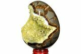 Calcite Crystal Filled Septarian Geode Egg - Utah #114318-2
